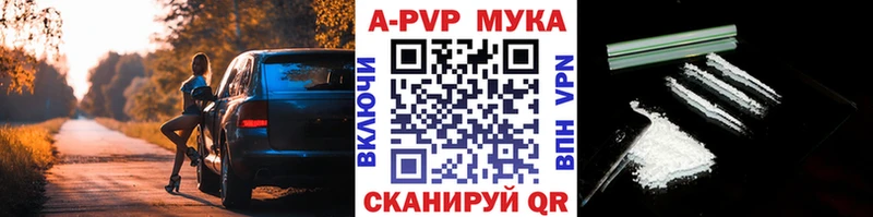 Альфа ПВП СК КРИС  Нижневартовск 