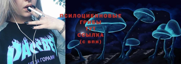 бошки Абаза