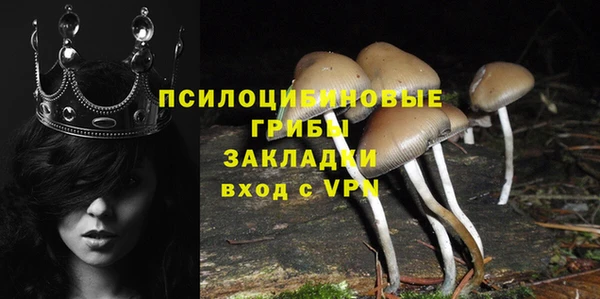 гидра Абинск