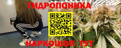 прущая мука Кандалакша