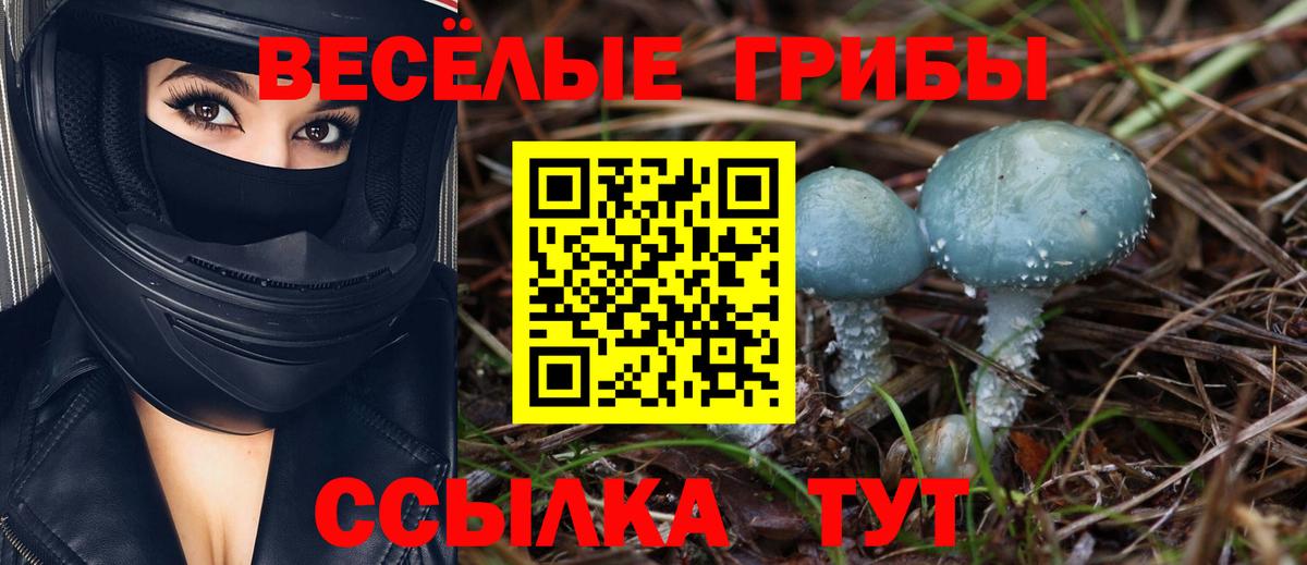 Нижневартовск  магазин  наркотиков  Вход с VPN  Псилоцибиновые грибы Psilocybine cubensis 